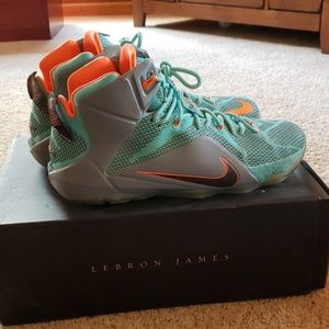 Nike Lebron 12 Basketball shoes